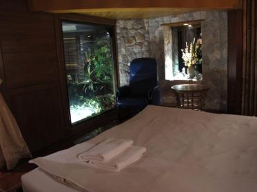 287215_14101310250022696748