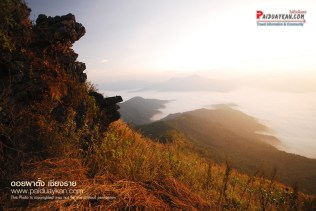 %e0%b8%a0%e0%b8%b9%e0%b8%9c%e0%b8%b2%e0%b8%95%e0%b8%b1%e0%b9%89%e0%b8%87-%e0%b8%8a%e0%b8%a1%e0%b8%a7%e0%b8%b4%e0%b8%a733