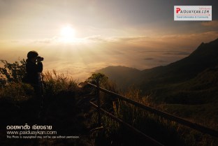 %e0%b8%a0%e0%b8%b9%e0%b8%9c%e0%b8%b2%e0%b8%95%e0%b8%b1%e0%b9%89%e0%b8%87-%e0%b8%8a%e0%b8%a1%e0%b8%a7%e0%b8%b4%e0%b8%a744