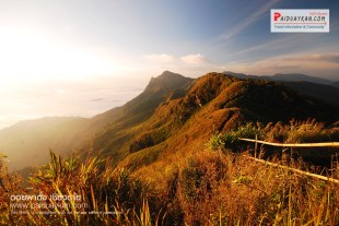 %e0%b8%a0%e0%b8%b9%e0%b8%9c%e0%b8%b2%e0%b8%95%e0%b8%b1%e0%b9%89%e0%b8%87-%e0%b8%8a%e0%b8%a1%e0%b8%a7%e0%b8%b4%e0%b8%a7444