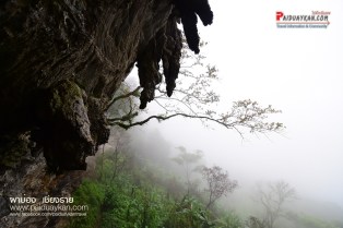 %e0%b8%a0%e0%b8%b9%e0%b8%9c%e0%b8%b2%e0%b8%95%e0%b8%b1%e0%b9%89%e0%b8%87%e0%b8%8a%e0%b8%97%e0%b8%a7%e0%b8%b4%e0%b8%a7111