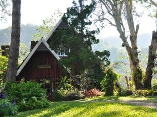 %e0%b8%a7%e0%b8%b2%e0%b8%a3%e0%b8%b5-%e0%b9%80%e0%b8%a5%e0%b8%b2%e0%b8%a5%e0%b8%b5