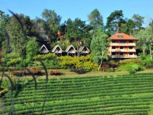 %e0%b8%a7%e0%b8%b2%e0%b8%a3%e0%b8%b5-%e0%b9%80%e0%b8%a5%e0%b8%b2%e0%b8%a5%e0%b8%b51