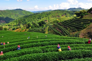 %e0%b8%a7%e0%b8%b2%e0%b8%a3%e0%b8%b511