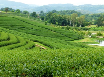 %e0%b8%aa%e0%b8%a7%e0%b8%99%e0%b8%8a%e0%b8%b2%e0%b8%9a%e0%b9%89%e0%b8%b2%e0%b8%99%e0%b8%aa%e0%b8%b1%e0%b8%99%e0%b8%95%e0%b8%b4%e0%b8%84%e0%b8%b5%e0%b8%a3%e0%b8%b5