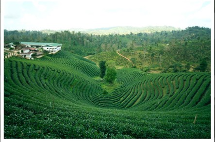 %e0%b8%ab%e0%b8%a1%e0%b8%b9%e0%b9%88%e0%b8%9a%e0%b9%89%e0%b8%b2%e0%b8%99%e0%b8%8a%e0%b8%b2-%e0%b8%aa%e0%b8%a7%e0%b8%99%e0%b9%81%e0%b8%a1%e0%b9%88%e0%b8%9c%e0%b8%87