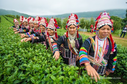 %e0%b8%ab%e0%b8%a1%e0%b8%b9%e0%b9%88%e0%b8%9a%e0%b9%89%e0%b8%b2%e0%b8%99%e0%b8%8a%e0%b8%b2